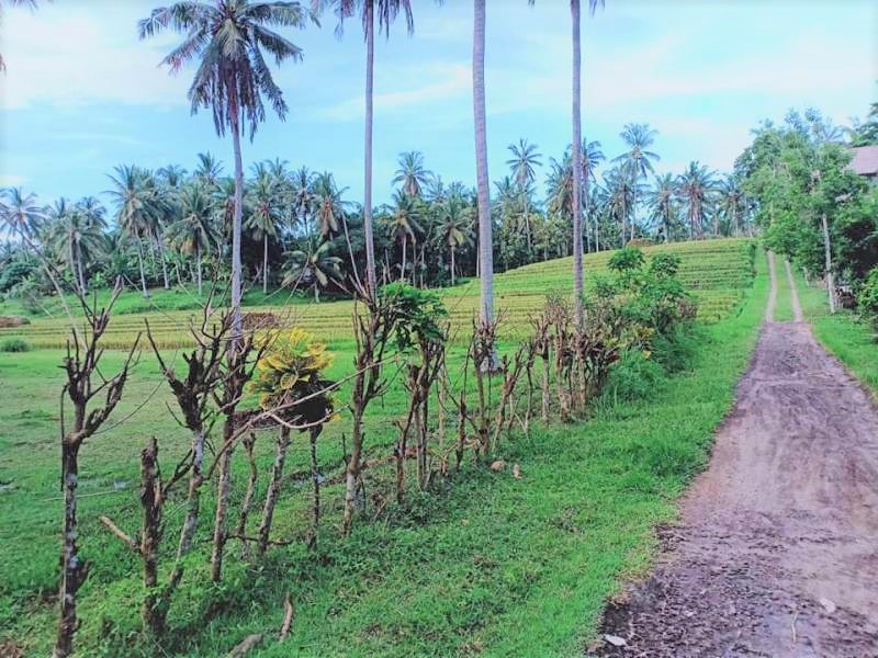 fltabanan42